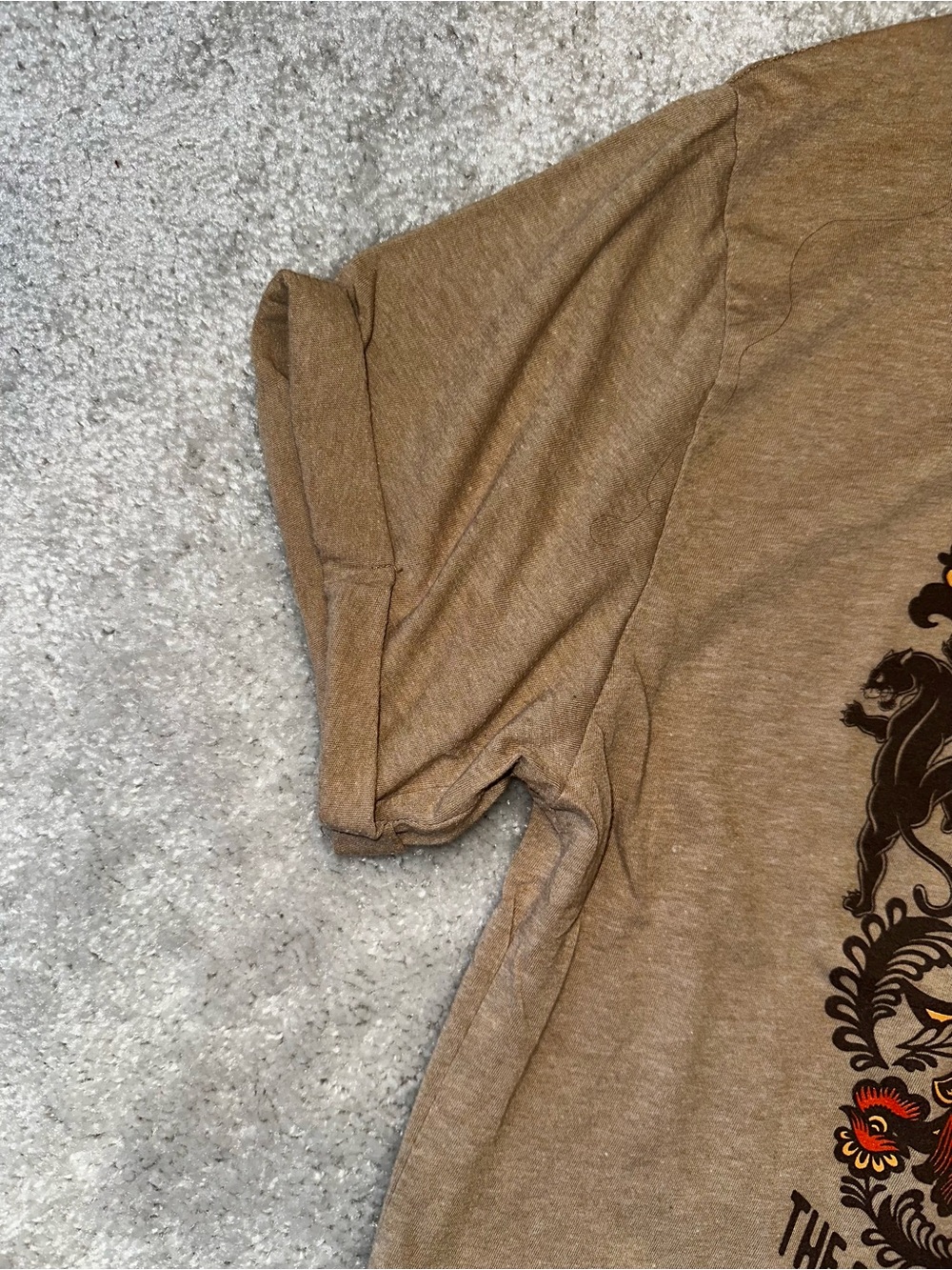Oversized Modern Lux Brown Graphic Tee with Sunburst and Floral Motif - Picture 3 of 7